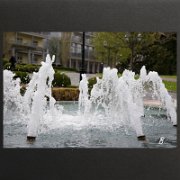 Neu